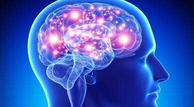 Imagem de capa da notícia