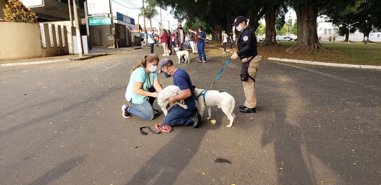 Imagem de capa da notícia