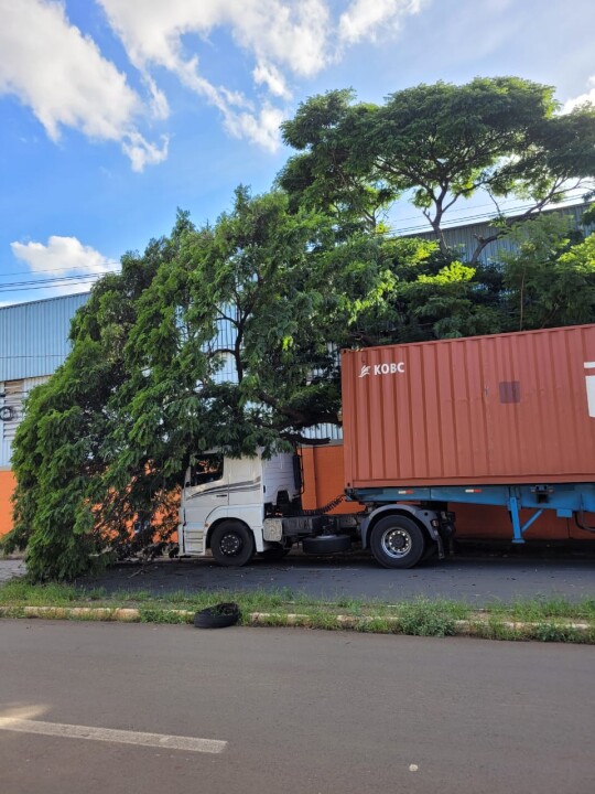 Imagem de capa da notícia