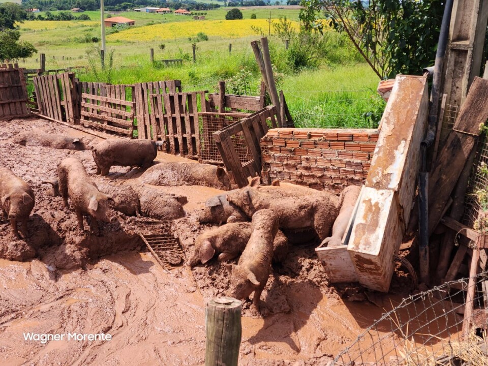 Imagem de capa da notícia