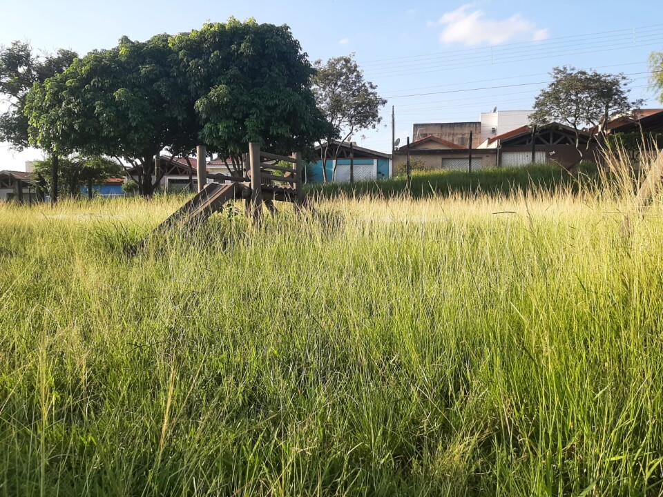 Foto de capa da notícia