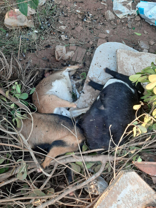 Imagem de capa da notícia