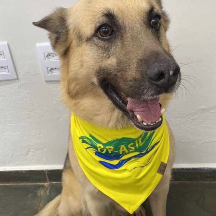 Imagem de capa da notícia