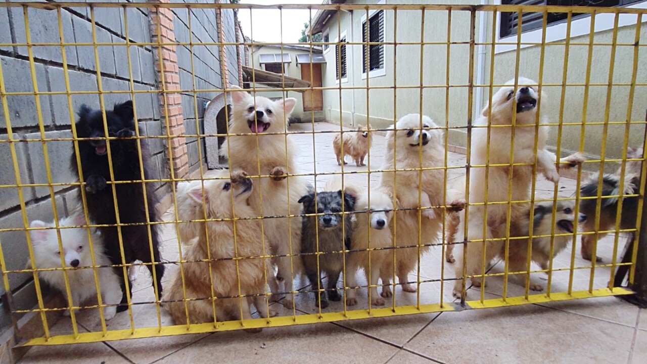 Imagem de capa da notícia